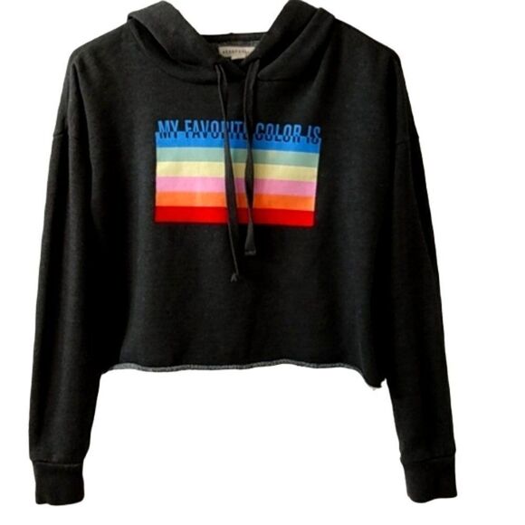 Aeropostale Rainbow Pride Flag Cropped Fleece Hoodie Size Small - Picture 1 of 9